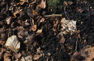 © U. Koch/ Geologischer Dienst NRW